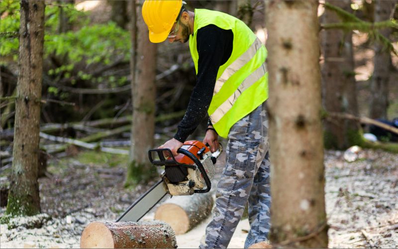 The Forestry Sector Offers Jobs in Canada